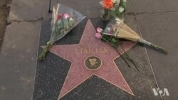 Fans Pay Tribute to Marvel Comics Legend Stan Lee