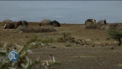 IGAD: Ukame wasababisha ukosefu mkubwa wa Chakula Pembe ya Afrika