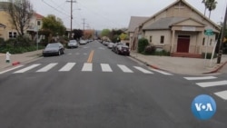 Forced to Stay Home, Neighbors Are Discovering Teddy Bears – and Each Other