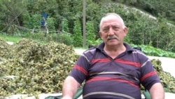 Hilmi Uzunlar owns hazelnut fields but says because of falling prices there is little money to be made from hazelnuts. (D. Jones/VOA)