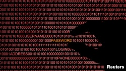 Gráfico que ilustra una página web en el momento de ser atacada por hackers.