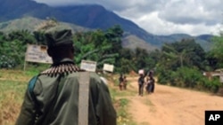 Des soldat congolais en patrouille dans le sud-Kivu (AP)