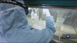 Чому важливі вакцинації - думки американських експертів. Відео