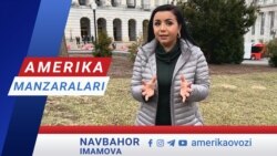 Amerika Manzaralari: Pentagon, iqtisod, immigrantlar 