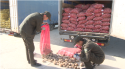 Uzbek customs officers inspect potato from Pakistan, Termez Cargo Center, Surkhandarya, Uzbekistan, Nov. 2, 2021.