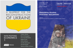 Обложка книги «Восстановление Украины: принципы и политика»