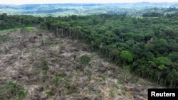FILE - An aerial view shows a deforested area during an operation to combat deforestation near Uruara, Para State, Brazil, Jan. 21, 2023. 