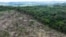 FILE - An aerial view shows a deforested area during an operation to combat deforestation near Uruara, Para State, Brazil, Jan. 21, 2023. 