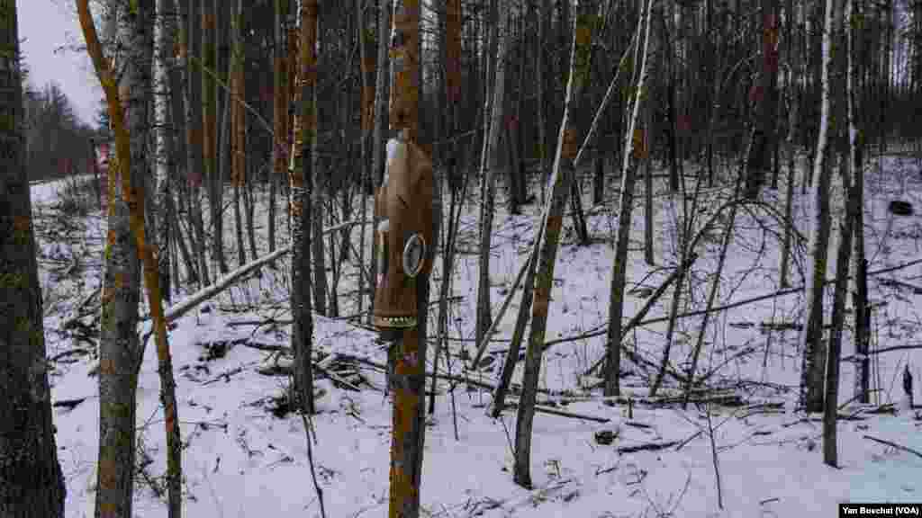 A Soviet-era gas mask rests on a tree outside the Chernobyl Nuclear Power Plant in Ukraine, Jan. 31, 2023 (VOANEWS/Yan Boechat)