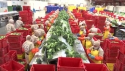 Ekuador dan Tiongkok Capai Kesepakatan Perdagangan Bebas Berpotensi Bernilai Miliaran Dolar