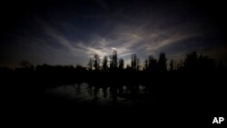 This file photo shows a view from the camping platform Cedar Hammock on the east side of the Okefenokee National Wildlife Refuge, Wednesday, March 30, 2022, in Folkston, Ga. (AP Photo/Stephen B. Morton)