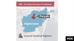 د ازبکستان اسلامي تحریک ډله زیاتره په فاریاب کې فعالیت لري