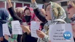 Afghan Women Activists Flee to Peshawar to Escape Taliban Restrictions 