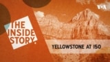 The Inside Story - Yellowstone