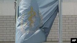 资料照 - 世界卫生组织(WHO)旗帜。该照片是美联社在中国北京拍摄的有关视频的截屏。美联社提供。