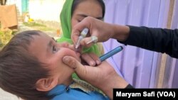 د ۲۰۲۲ کال د اکتوبر د میاشتې د پولیو کمپاین