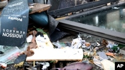 FILE- A fish lays in the debris in front of a hotel where an huge aquarium has burst in Berlin, Germany, Dec. 16, 2022.