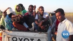 ብሰንኪ ኲናት ትግራይ ኣብ ሱዳን ዝርከቡ ስደተኛታት ድሕሪ ስምምዕሰላም ናብ ሃገሮም ክምለሱተስፋ ይገብሩ