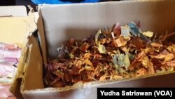 Kardus berisi serpihan kecil uang tabungan milik Samin yang gagal diselamatkan untuk mendapat uang pengganti yang baru, Kamis (15/9). (Foto: VOA/Yudha Satriawan)
