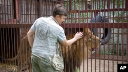 Natalia Popova, 50, pets a lion at her animal shelter in Kyiv region, Ukraine, Aug. 4, 2022.