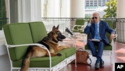 In this image provided by the White House, President Joe Biden speaks on the phone from the Truman Balcony, at the White House in Washington, July 25, 2022, while continuing to isolate after testing positive for COVID-19. 