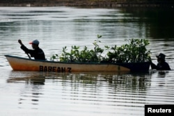 Penduduk setempat menggunakan perahu kayu untuk mengangkut benih pohon bakau yang akan ditanam di Bebatu, daerah terpencil di dekat Tarakan, provinsi Kalimantan Utara, Indonesia, 19 Oktober 2021. (REUTERS/Willy Kurniawan)