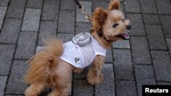 JAPAN-DOGS/WEARABLE FAN