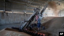FILE - A farmer collects harvest from his field near the front line in the Dnipropetrovsk region, Ukraine, on July 4, 2022. 