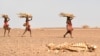 FILE - Turkana women carrying firewood walk past a carcass of a cow, in the area of Loiyangalani, which is among the worst affected by the prolonged drought, in Marsabit, northern Kenya, July 12, 2022.