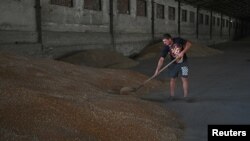 FILE - An employee works at a grain storage during wheat harvesting in the Rostov Region, Russia, July 6, 2022.