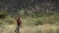 An Ethiopian boy attempts to fend off desert locusts as they fly in a farm on the outskirt of Jijiga in Somali region, Ethiopia, Jan. 12, 2020. 