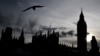 Seekor burung camar terbang menuju Istana Westminster, gedung parlemen di London pada 11 September 2022. (Foto: AFP/LOIC VENANCE)