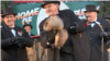 Groundhog Day 2017: Punxsutawney Phil Predicts 6 More Weeks of Winter
