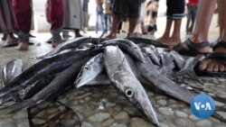 Yemen Famine Risk Fueled by War, Food Insecurity, Inflation