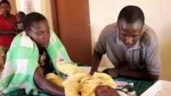 Malaria Deaths Drop Drastically; WHO Predicts More Success