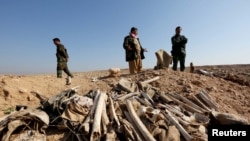 FILE - Bones, suspected to belong to members of Iraq's Yazidi community, are seen in a mass grave on the outskirts of the town of Sinjar, November 30, 2015.