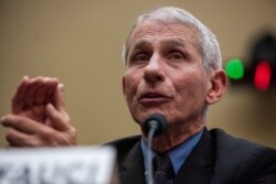 Anthony Fauci, director of the NIH National Institute for Allergy and Infectious Diseases, testifies before a House Energy and Commerce Health Subcommittee hearing on oversight of the coronavirus outbreak, Feb. 26, 2020.