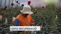 Lenta recuperación del empleo en América Latina