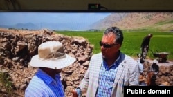 نەهرۆ شەوقی