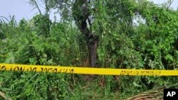 A crime scene tape cordons off a tree where the bodies of two teenage girls were found hanging after they were allegedly raped, in Lakhimpur Kheri district of Uttar Pradesh state in India, Sept. 15, 2022. 