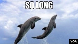 Image found on VKontakte founder Pavel Durov's goodbye all post.