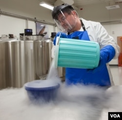Genomic samples are stored in the Smithsonian’s biorepository, a complex of sub-zero freezers that can hold up to 4 million cryo-preserved samples in perpetuity, July 2015. (Credit: Donald E. Hurlbert/Smithsonian Institution)