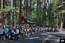 Tourists line a road as the President Barack Obama family takes a hike nearby at Yosemite National Park, Calif., on Sunday, June 19, 2016.