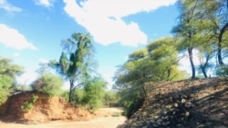 Idamu leGuyu lidubuke eminyakeni emibili edluleyo latshiya uzulu ethwele amagabha avuzayo.