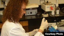 Laboratory technicians may now have a new instrument to help them calibrate the dosage of antibiotics.