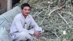 د کډوالۍ کړکېچ؛ افغان ځوانان راتلونکي ته اندېښمن دي