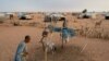 Camp de refugiés maliens de Mbera, Mauritanie, le 2 mars 2013. (Nyani Quarmyne/MSF) 