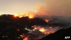 آتش‌سوزی‌ها در چند ساحه هزاران هکتار زمین را با خاکستر یکسان کرده است.