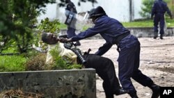 A supporter of Congolese opposition leader Etienne Tshisekedi is grabbed by a Congolese riot police officer outside his candidate's headquarters in Kinshasa, Democratic Republic of Congo, December 8, 2011