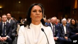 জাতীয় গোয়েন্দা বিভাগের পরিচালক পদে প্রেসিডেন্ট ডনাল্ড ট্রাম্পের পছন্দ টুলসি গ্যাবার্ড ক্যাপিটল হিলে শুনানির জন্য সিনেট ইন্টেলিজেন্স কমিটির সামনে উপস্থিত। ফাইল ফটোঃ ৩০ জানুয়ারি, ২০২৫। 